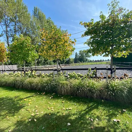 公寓 D' Uitwijkerpoort Uitwijk